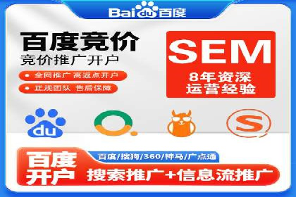 SEM主管实战：案例分析与优化策略