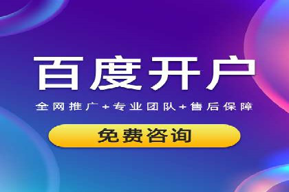 某电商平台的SEM推广策略全解析